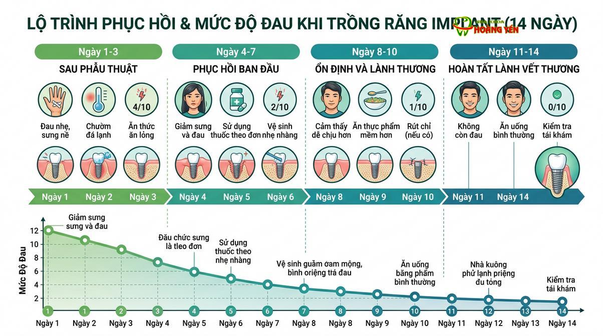 Biểu đồ mô phỏng mức độ phục hồi và cảm giác sau khi cấy ghép implant