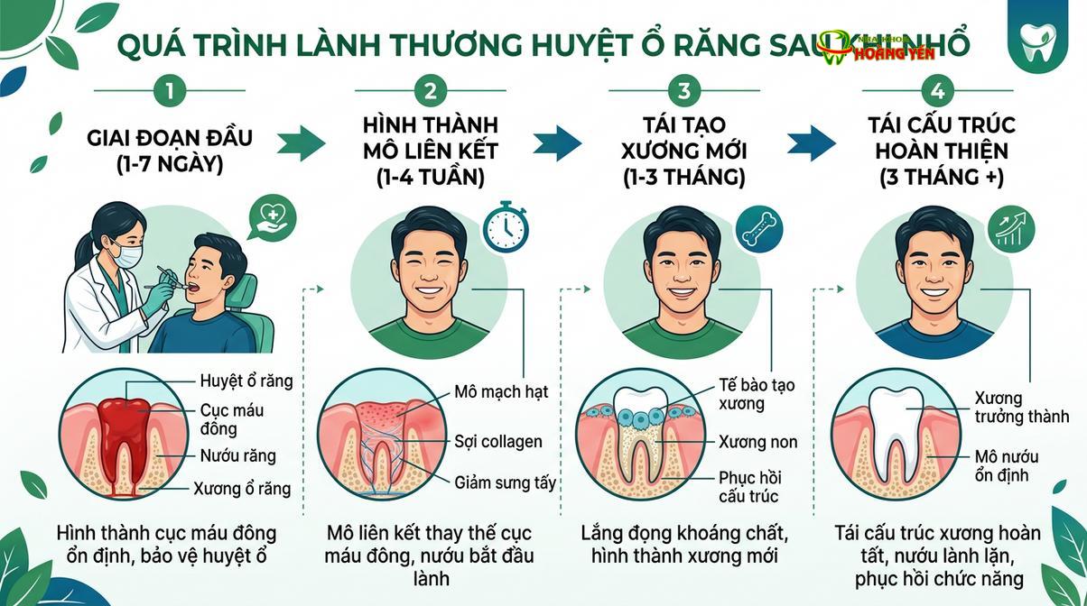 Theo dõi sát sao quá trình lành thương giúp phát hiện sớm các dấu hiệu bất thường sau nhổ răng.