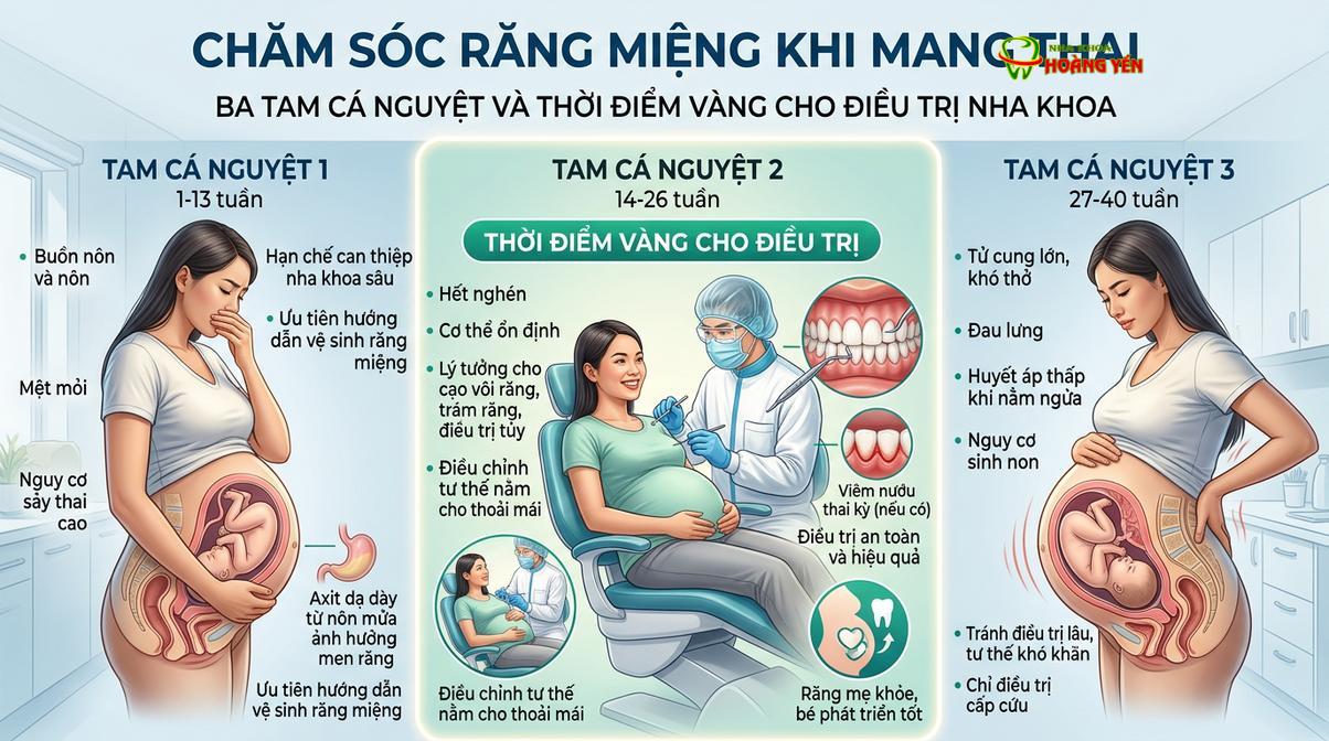 Ba tháng giữa thai kỳ là thời điểm an toàn nhất để thực hiện các thủ thuật nha khoa cần thiết.