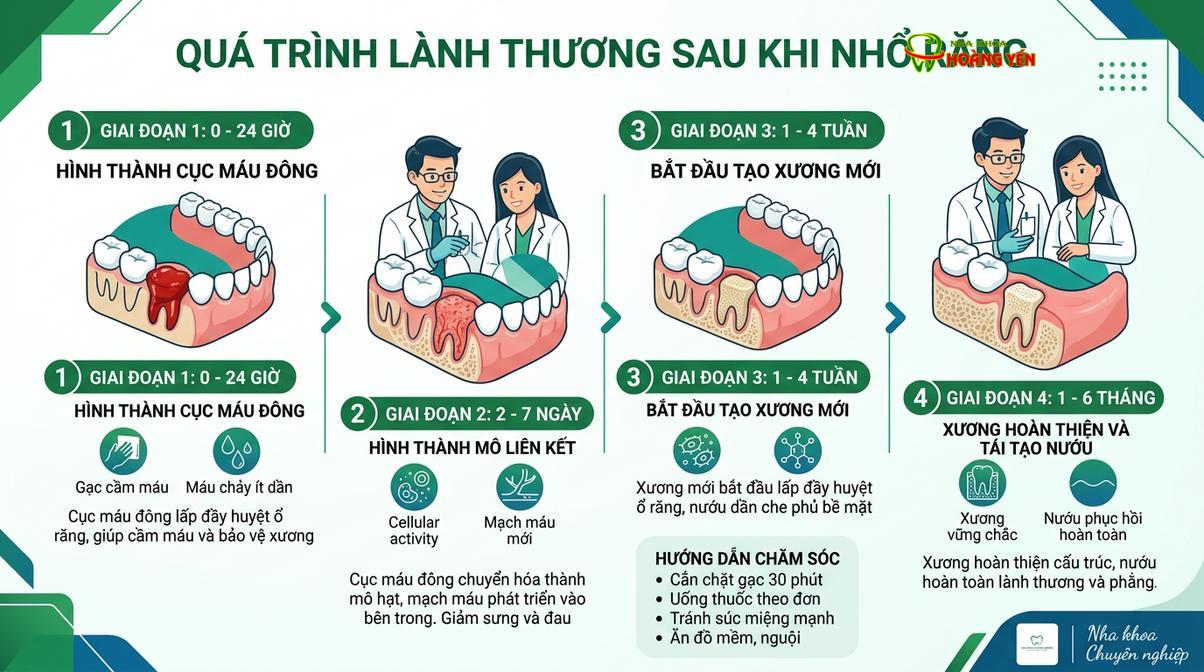Quá trình lành thương ổ răng đòi hỏi sự chăm sóc kỹ lưỡng, đặc biệt ở nhóm bệnh nhân có hệ miễn dịch suy yếu.